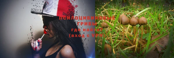 каннабис Богданович