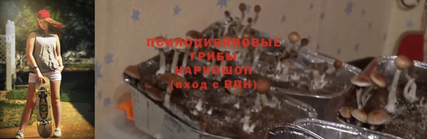 синтетический гашиш Богородицк