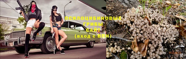 каннабис Богданович