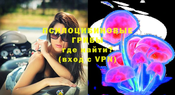 синтетический гашиш Богородицк