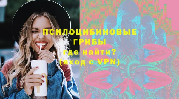 синтетический гашиш Богородицк