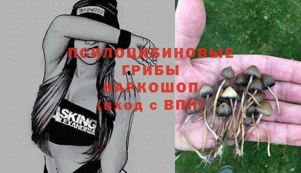 дурь Богородск